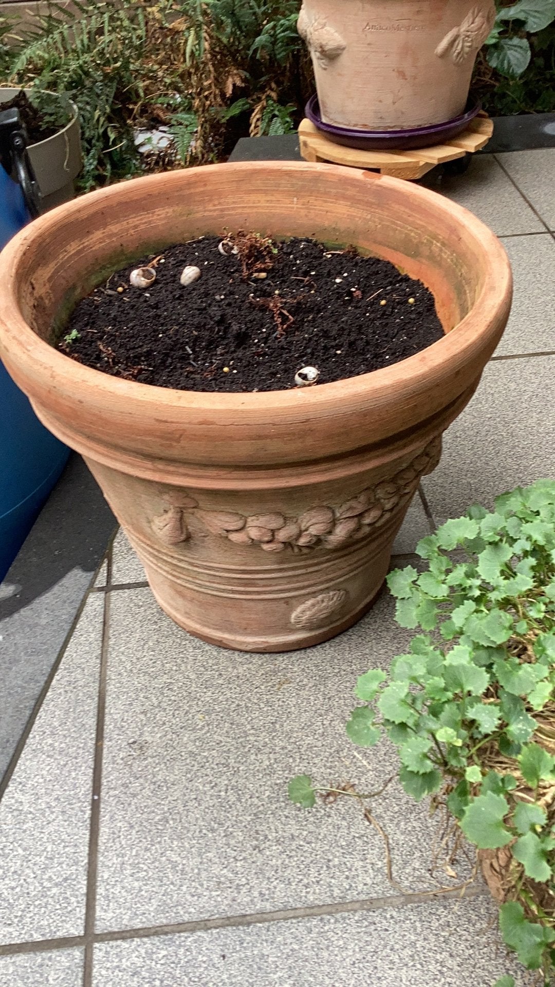 Prachtige terracotta pot, Tuin en Terras, Ophalen, Zo goed als nieuw, Terracotta