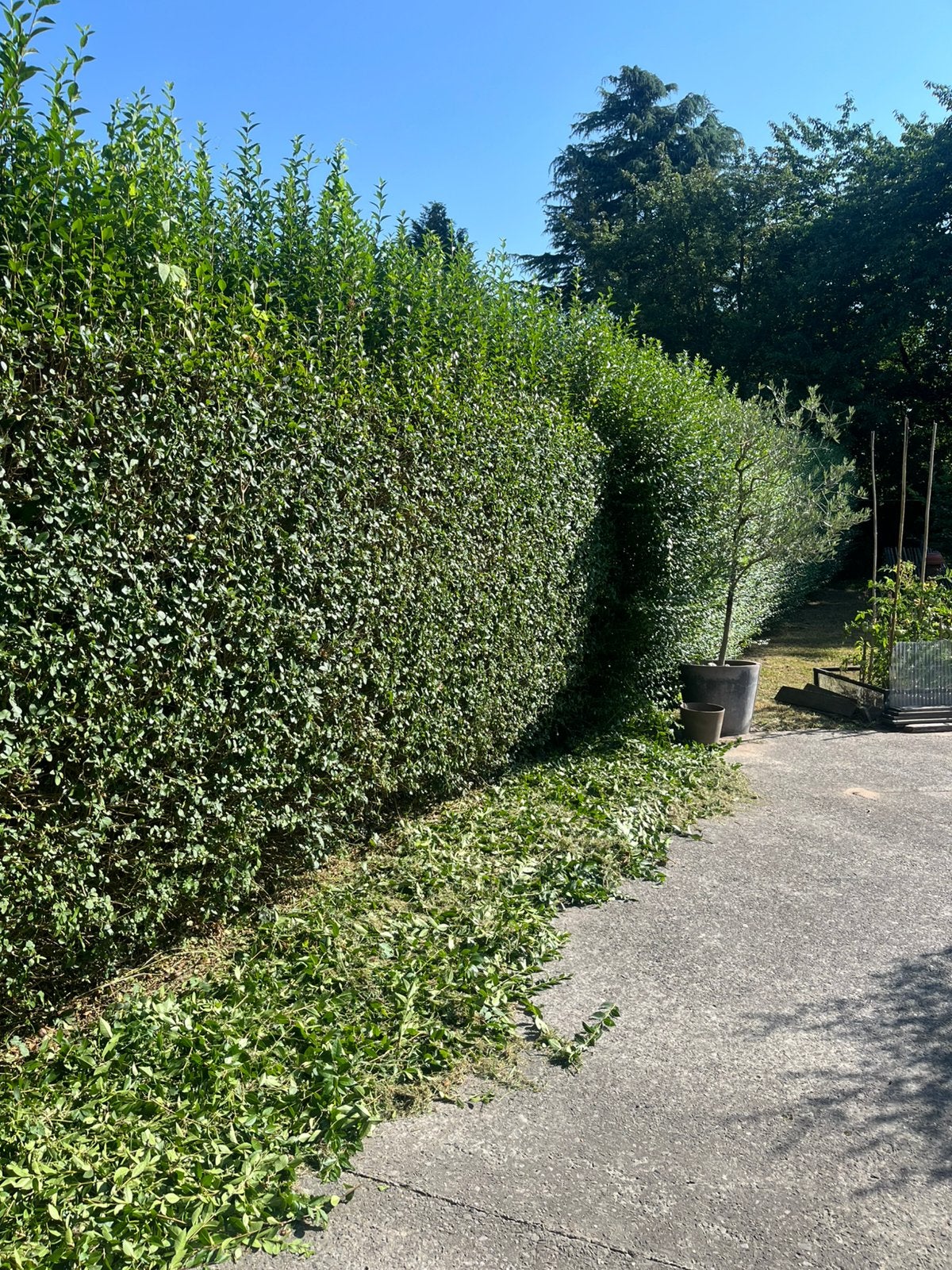 Algemeen tuinonderhoud, Ophalen of Verzenden