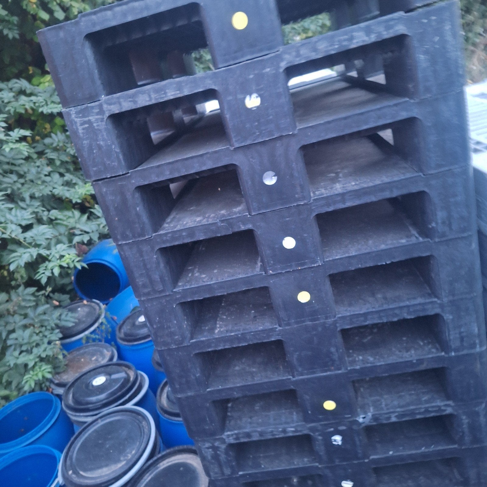 plastic paletten te koop, Ophalen of Verzenden