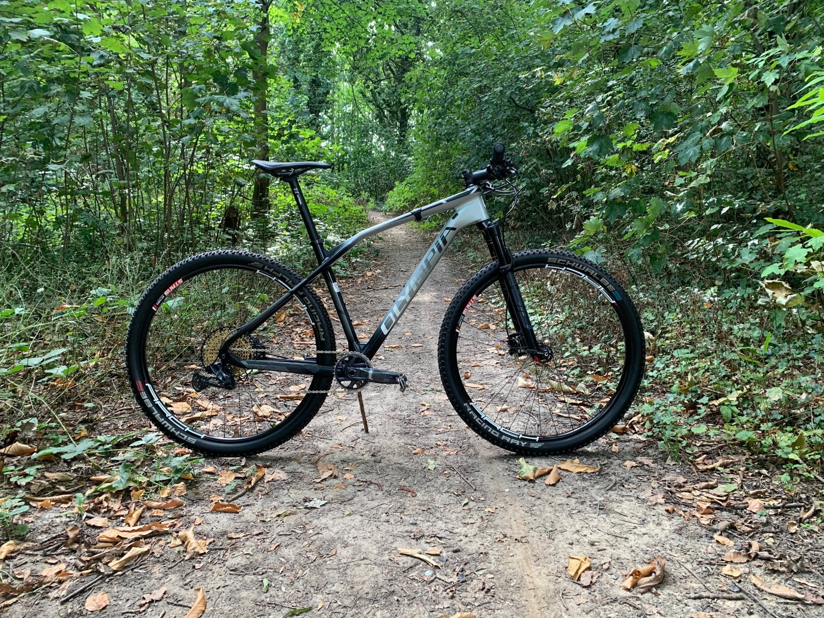 Olympia iron 29”, Hardtail, Ophalen, Zo goed als nieuw, Schijfrem