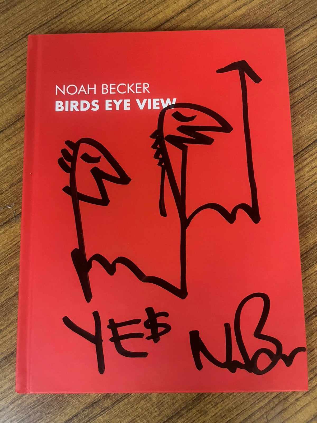 Noah Becker Birds eye view- boek, Ophalen of Verzenden, Nieuw, Schilder- en Tekenkunst