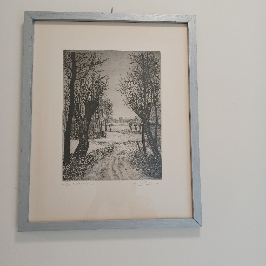 E De Cooman ets, Antiek en Kunst, Kunst | Etsen en Gravures, Ophalen of Verzenden, Ets