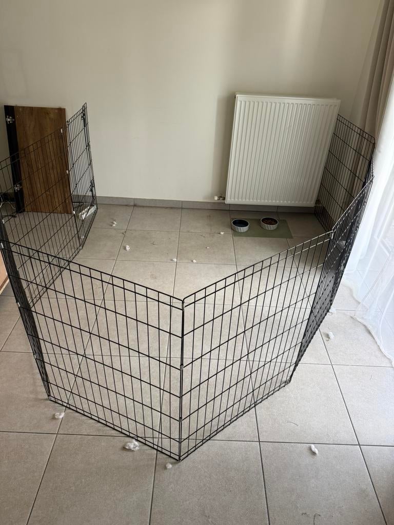 Ren hond, Dieren en Toebehoren, Ophalen, Zo goed als nieuw