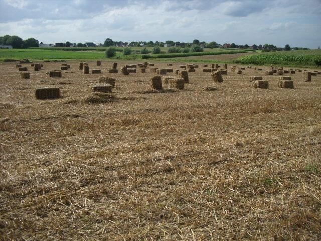 Stro, Zakelijke goederen, Landbouw | Veevoer, Ophalen