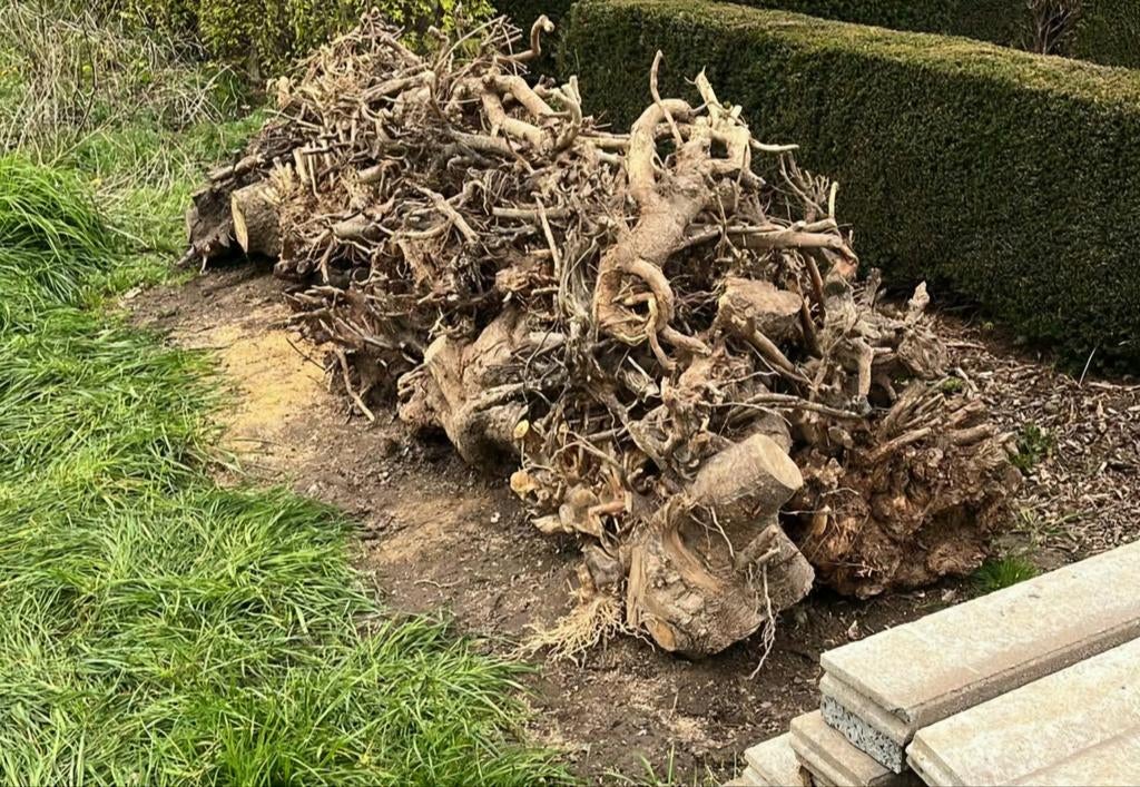 Brandhout, Tuin en Terras, Ophalen