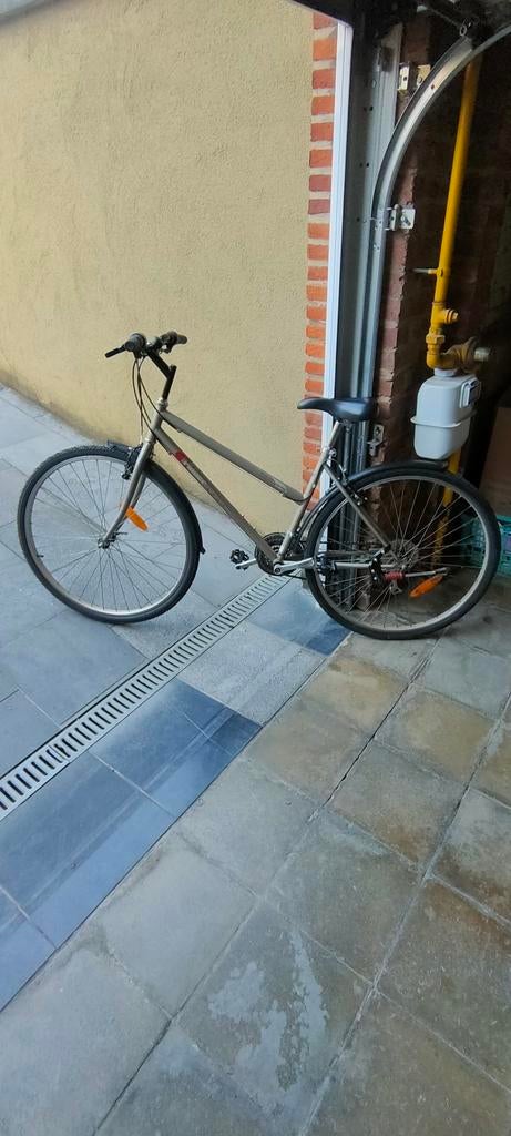 Vélo tout chemin dame., Vitesses