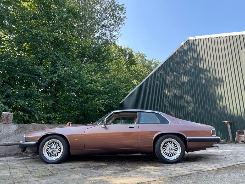 Belle Jaguar XJS dans une couleur bronze rose unique, Cuir, Achat, Autres couleurs, 2 portes