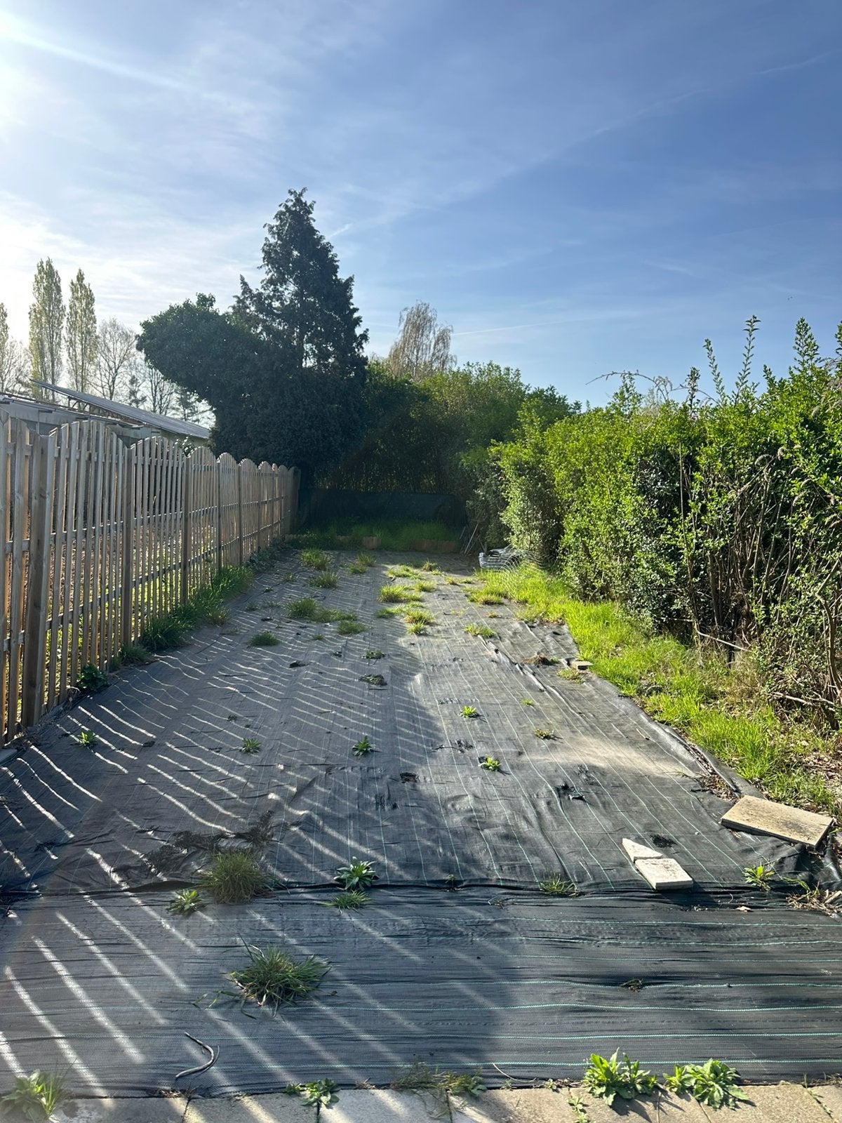 Aménagement extérieur de A à Z, Jardin & Terrasse, Enlèvement ou Envoi, Comme neuf, Synthétique