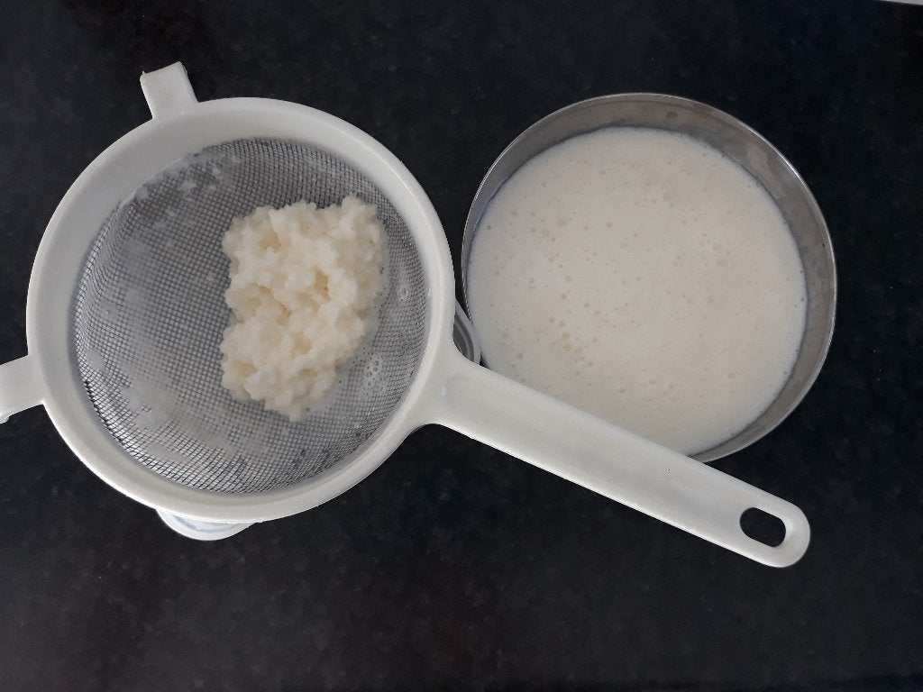Yoghurtbloemetjes/kefir, nu extra grote portie, Enlèvement, Neuf