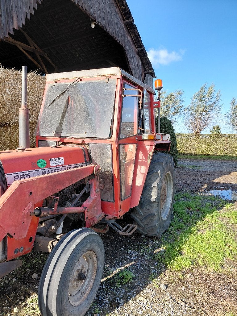 massey ferguson 265, Zakelijke goederen, Ophalen, Massey Ferguson
