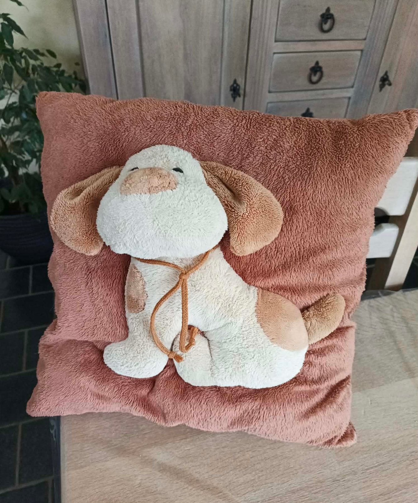 Hond kussen, Ophalen of Verzenden, Zo goed als nieuw, Bruin, Sierkussen
