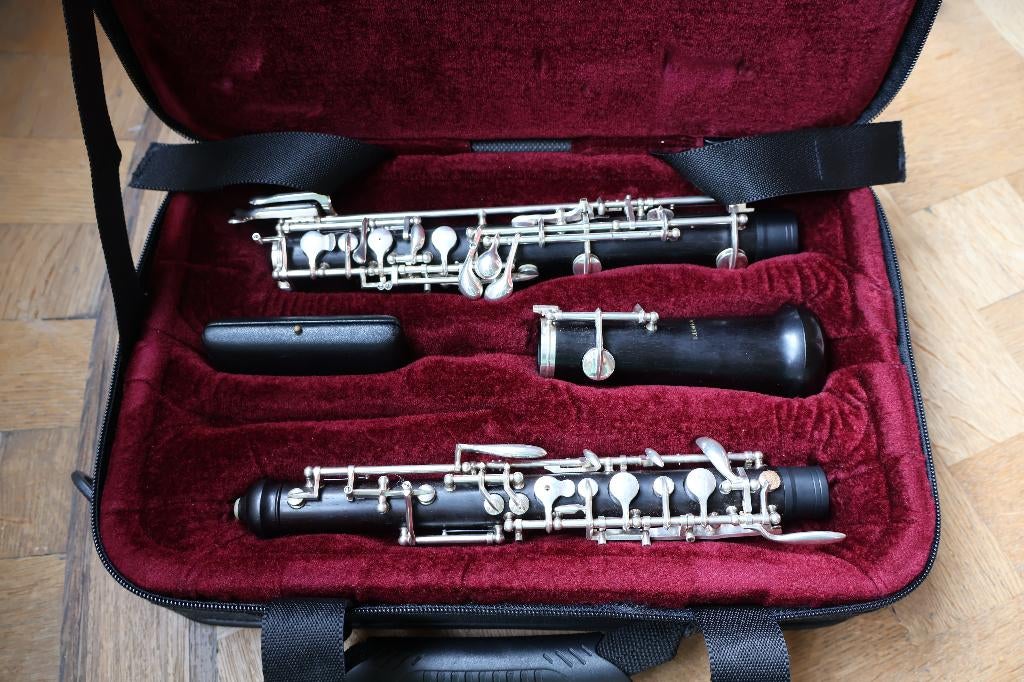 Hobo Bulgheroni, Muziek en Instrumenten, Ophalen, Gebruikt, Met koffer