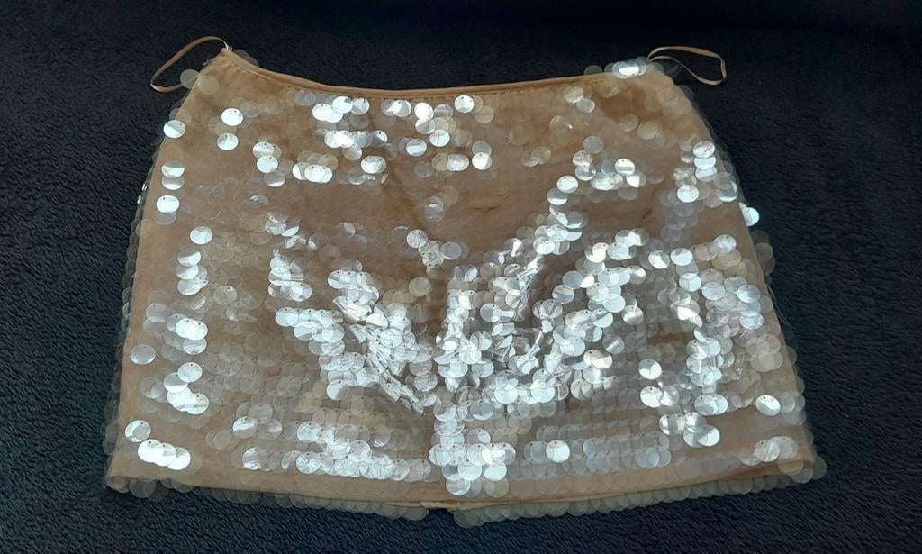 Prachtige rok bezet met doorzichtige pailletten large., Kleding | Dames, Maat 42/44 (L), Nieuw, Ophalen of Verzenden, Overige typen