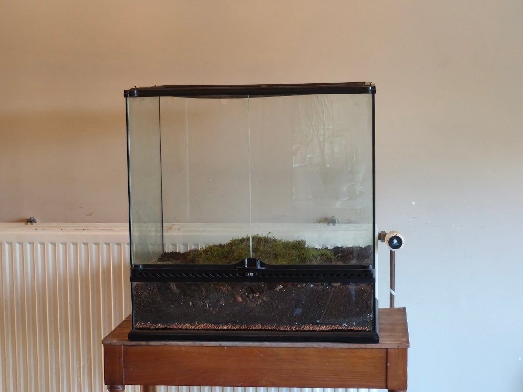 Terrarium Exo Terra 60x45x60 + accessoires, Dieren en Toebehoren, Reptielen en Amfibieën | Toebehoren, Gebruikt, Terrarium of Paludarium