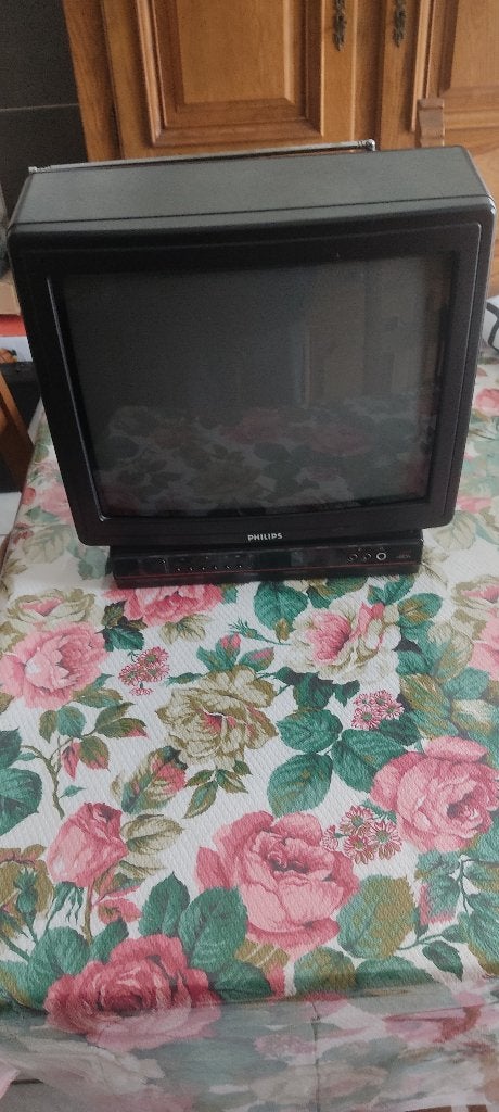 Téléviseur Philips Catodique, Enlèvement, Utilisé, 40 à 60 cm, Philips