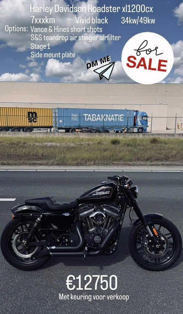 Harley Davidson Roadster, Motoren, 2 cilinders, Chopper, Particulier, 1200 cc