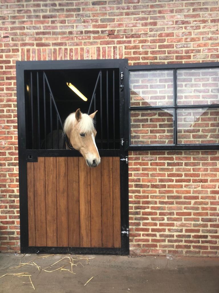 porte d'écurie, porte d'écurie, porte d'écurie pour chevaux, Animaux & Accessoires, Box & Pâturages, Élevage, Mise à l'étable
