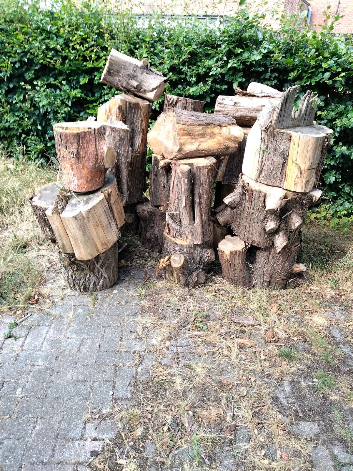 droog brandhout, berk en lork., Tuin en Terras, Brandhout, Ophalen of Verzenden