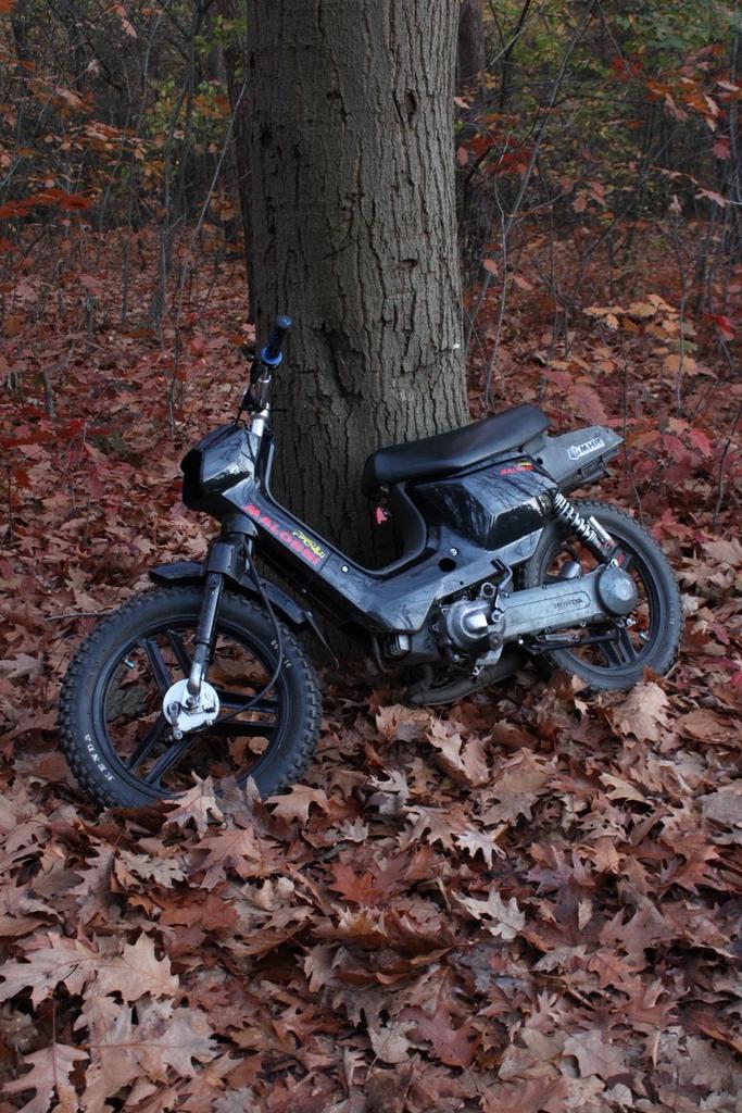 honda wallaroo, Fietsen en Brommers, Ophalen