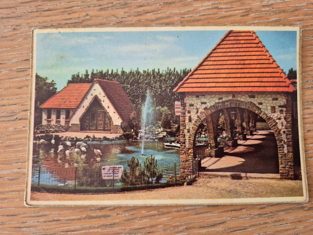 Postkaart Meli Park Flamingovijver, Ophalen of Verzenden, Gelopen, West-Vlaanderen