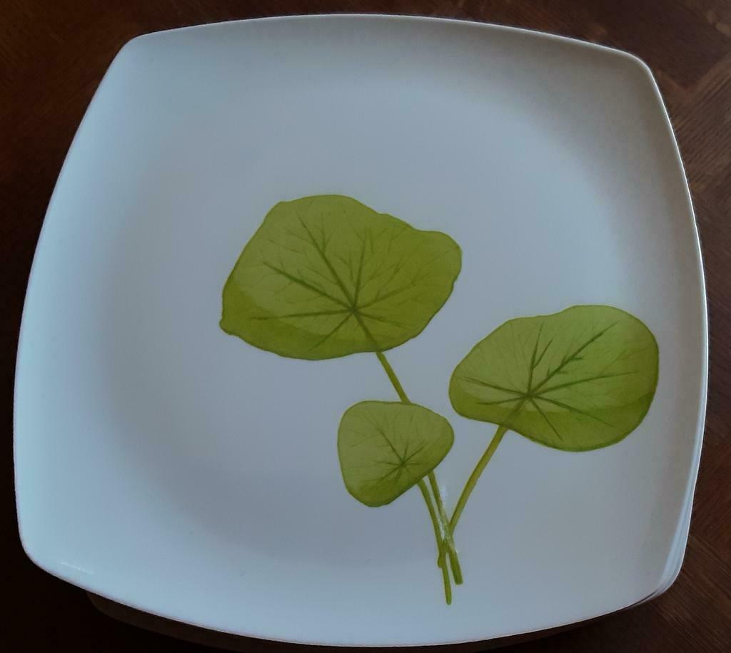 6 assiettes réutilisable 25x25cm, Maison & Meubles, Cuisine | Vaisselle, Utilisé, Assiettes(s), Enlèvement ou Envoi