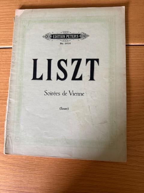 Liszt – Soirées de Vienne (d’après Schubert), Gebruikt, Klassiek, Ophalen of Verzenden, Artiest of Componist