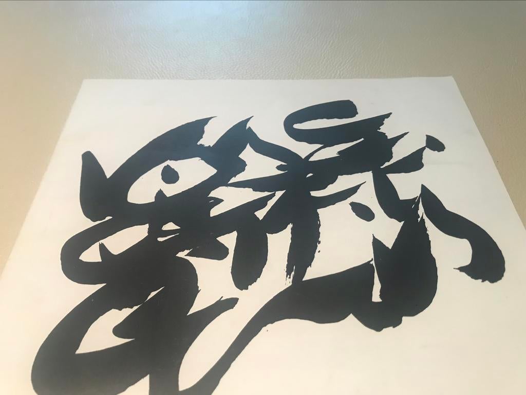 Christian Dotremont encres 60pag Cobra, Ophalen of Verzenden, Zo goed als nieuw, Schilder- en Tekenkunst