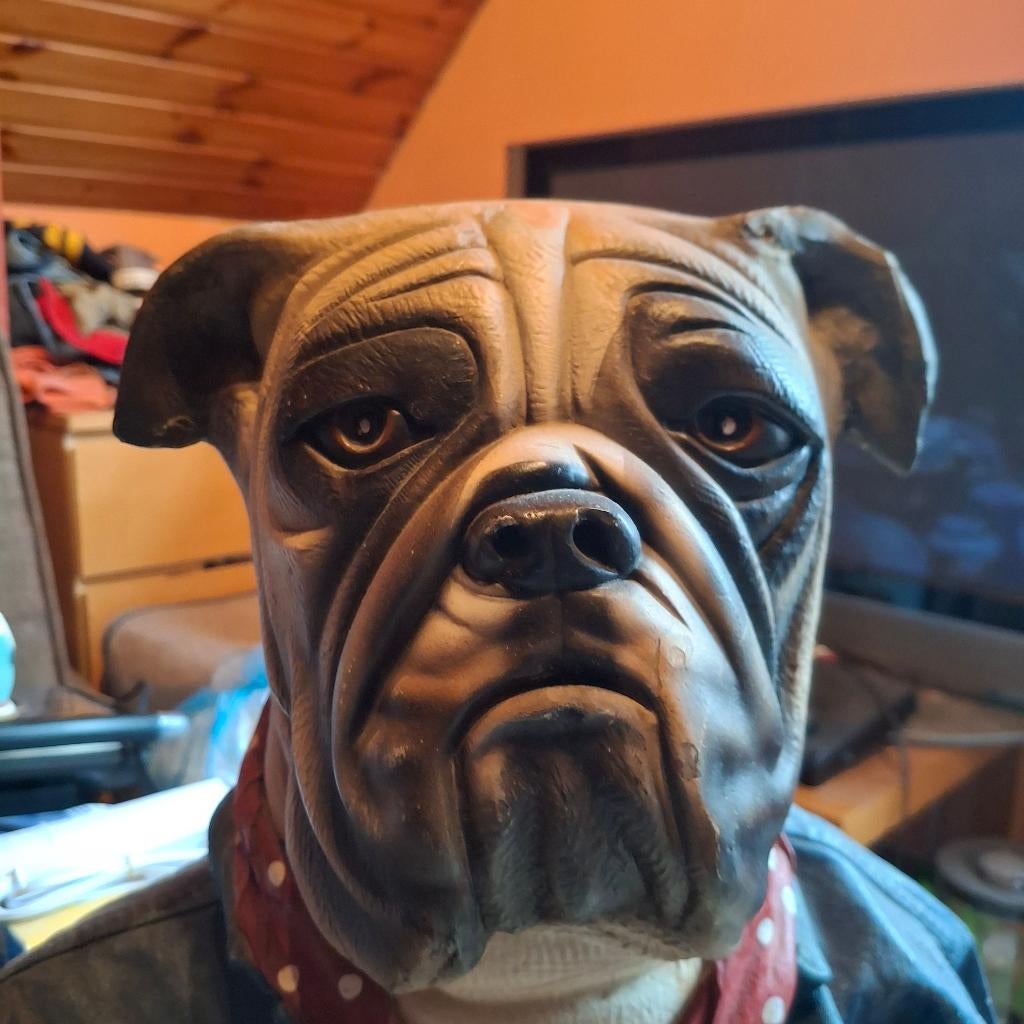 Bulldog gipsbuste... zeventien 50 cm bij 55 cm, Ophalen of Verzenden, Zo goed als nieuw
