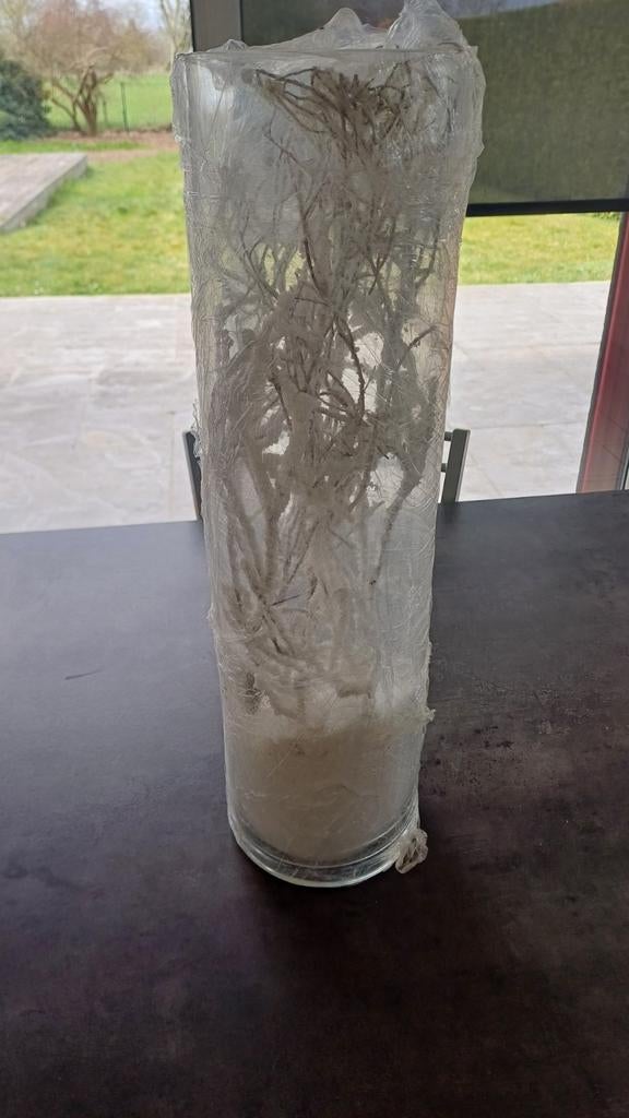 Vase en verre 14 cm de diamètre et 50 cm de hauteur, Enlèvement, Comme neuf