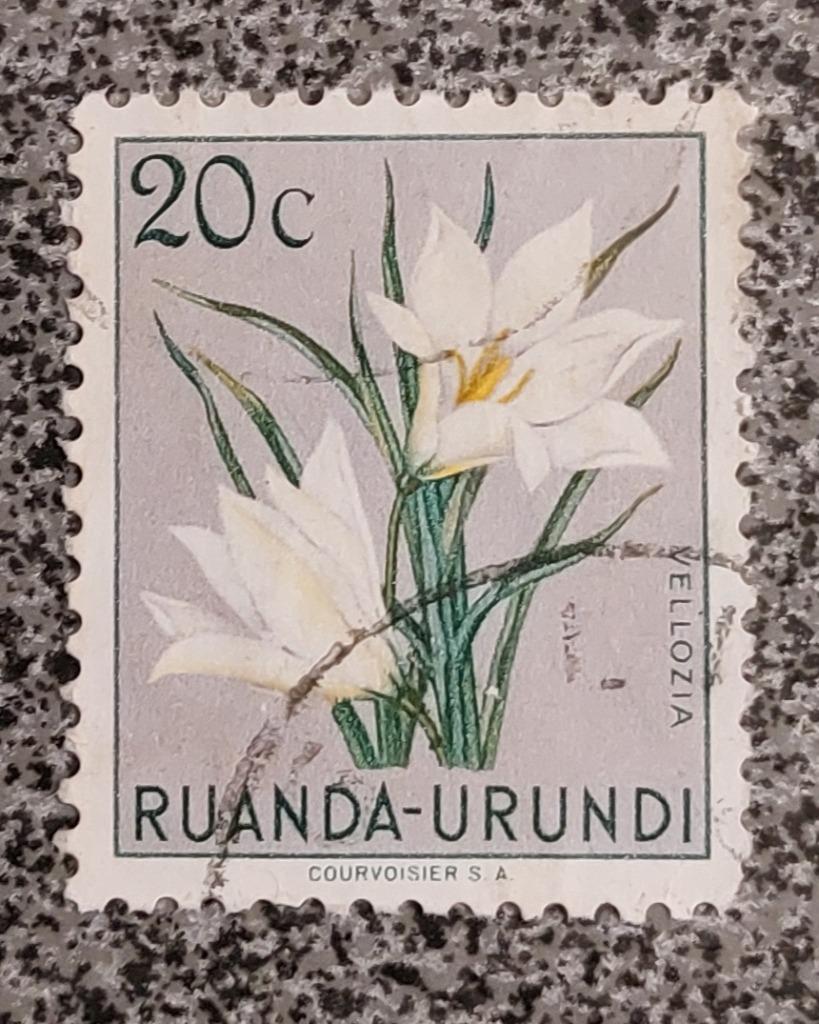 Postzegels Ruanda-Urundi OBP 179, Ophalen of Verzenden, Gestempeld