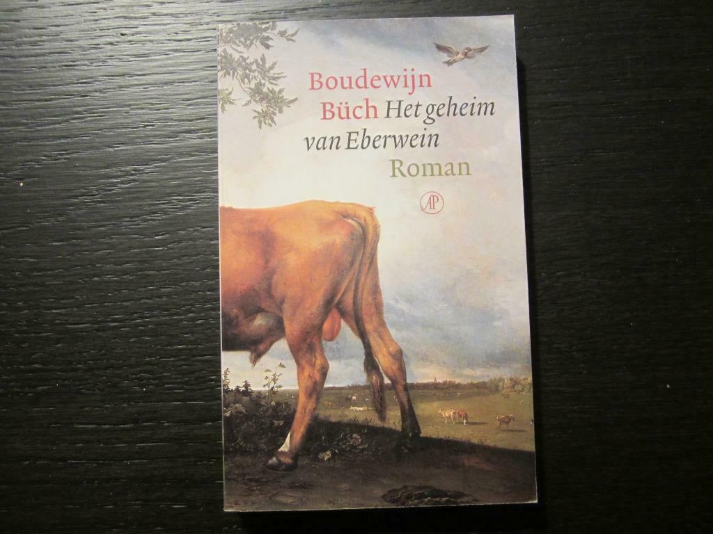 Het geheim van Eberwein  -Boudewijn Büch-, Ophalen of Verzenden
