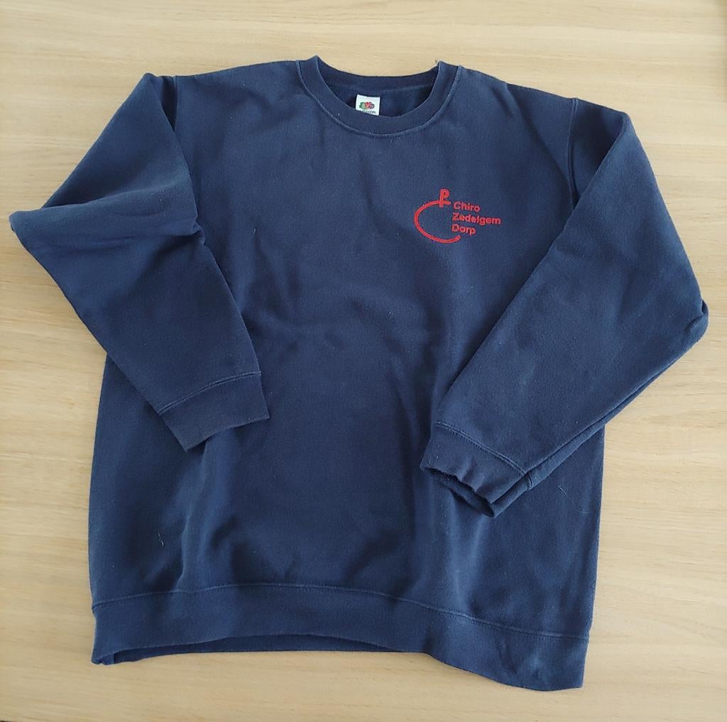 Trui Chiro Zedelgem Dorp, Garçon ou Fille, Pull ou Veste, Utilisé, Enlèvement