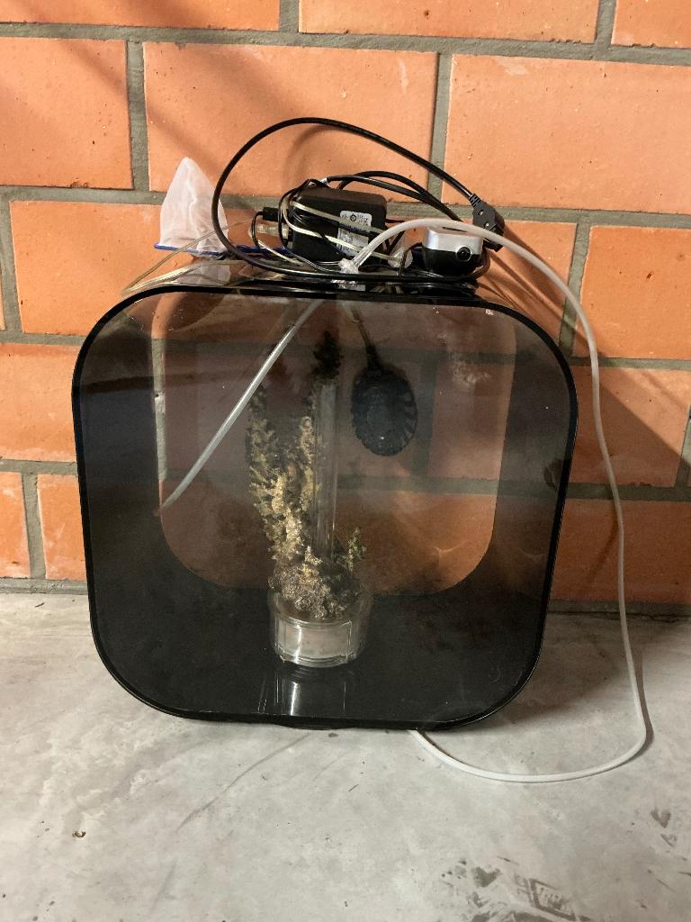 Aquarium Biorb Life noir 30 L, Animaux & Accessoires, Autres accessoires pour animaux, Utilisé, Enlèvement