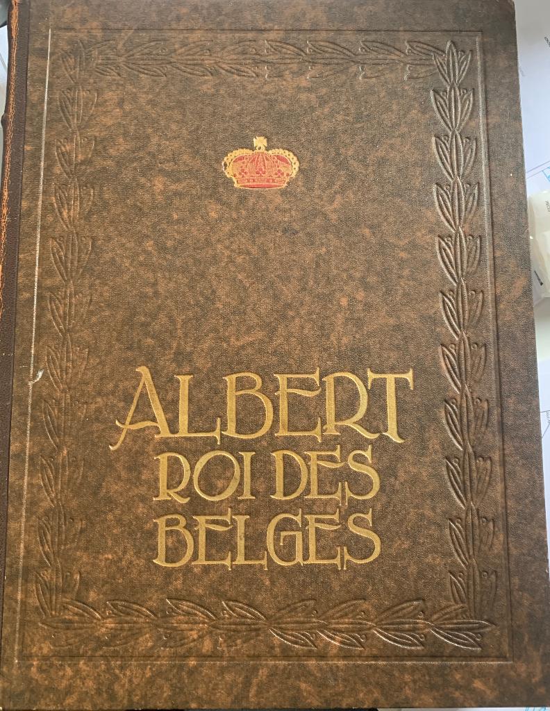 Albert Roi des Belges, Livres, Histoire nationale, Comme neuf, 20e siècle ou après, Enlèvement ou Envoi