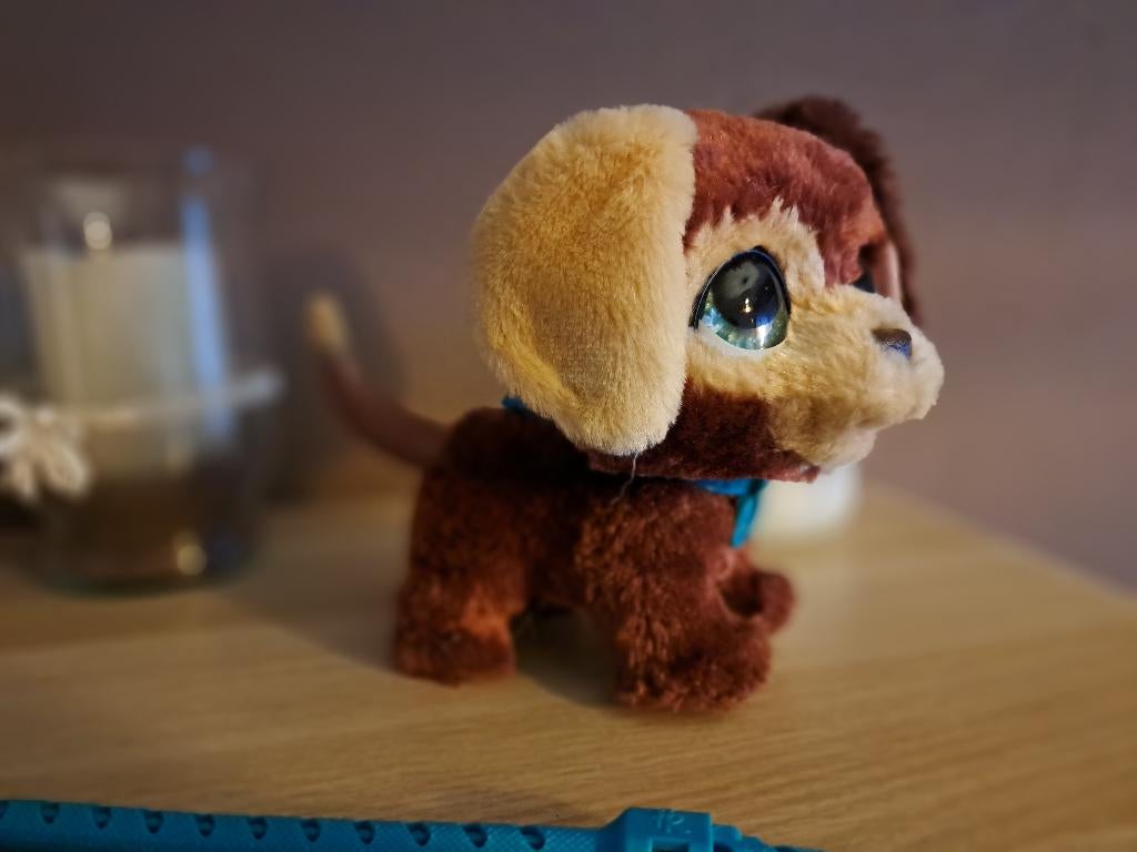 Speelgoed hond, Ophalen, Gebruikt, Hond