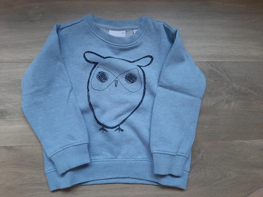 Supermooie lichtblauwe trui met uil voor jongen (98-104 cm), Ophalen, Zo goed als nieuw, Jongen, Trui of Vest