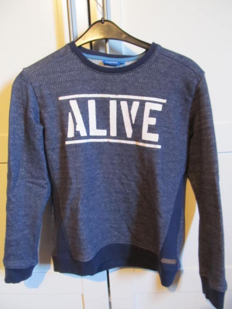 Sweater Someone maat 164, Kinderen en Baby's, Kinderkleding | Maat 164, Trui of Vest, Ophalen of Verzenden, Zo goed als nieuw