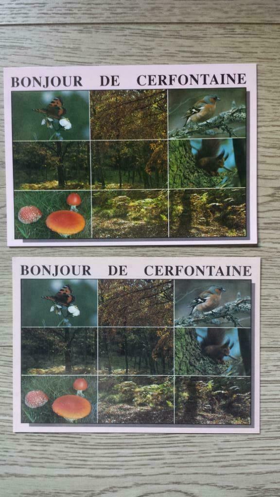 Bonjour de Cerfontaine, Ophalen of Verzenden, Ongelopen, Waals-Brabant