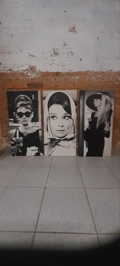 Audrey Hepburn, Enlèvement