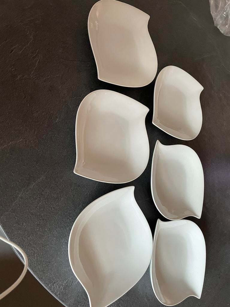 Zes dessert of voorgerecht  schaaltjes, Ophalen of Verzenden, Nieuw