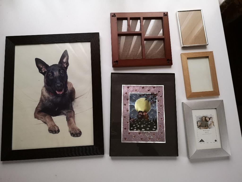 Kaders Fotolijsten -  5 €/stuk, Enlèvement ou Envoi