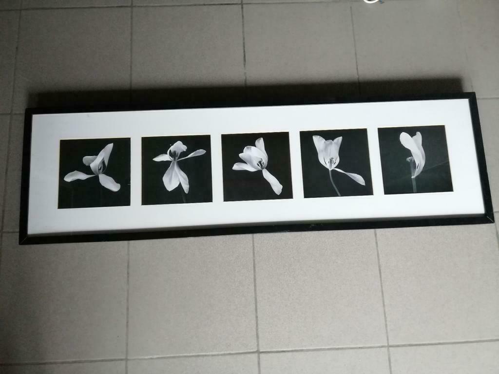 grote kader van ikea met bloemen, Ophalen of Verzenden, Gebruikt