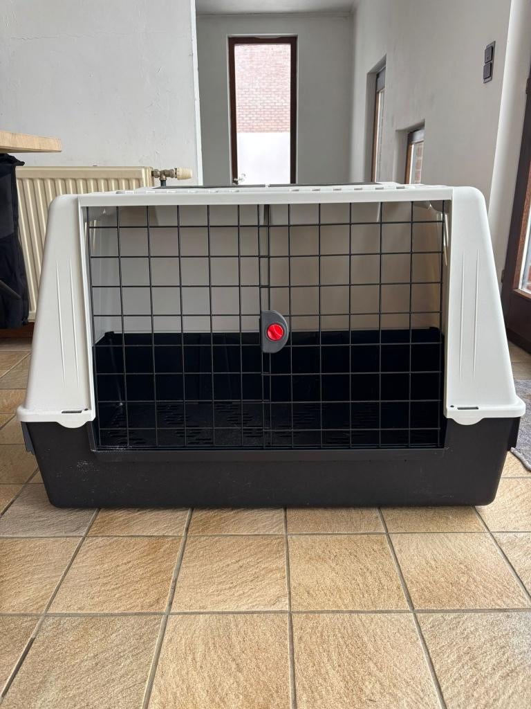 Cage de transport pour grand chien, Dieren en Toebehoren, Ophalen, Zo goed als nieuw