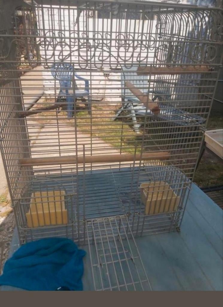 Cage pour oiseau, Animaux & Accessoires, Oiseaux | Cages & Volières, Utilisé, Enlèvement