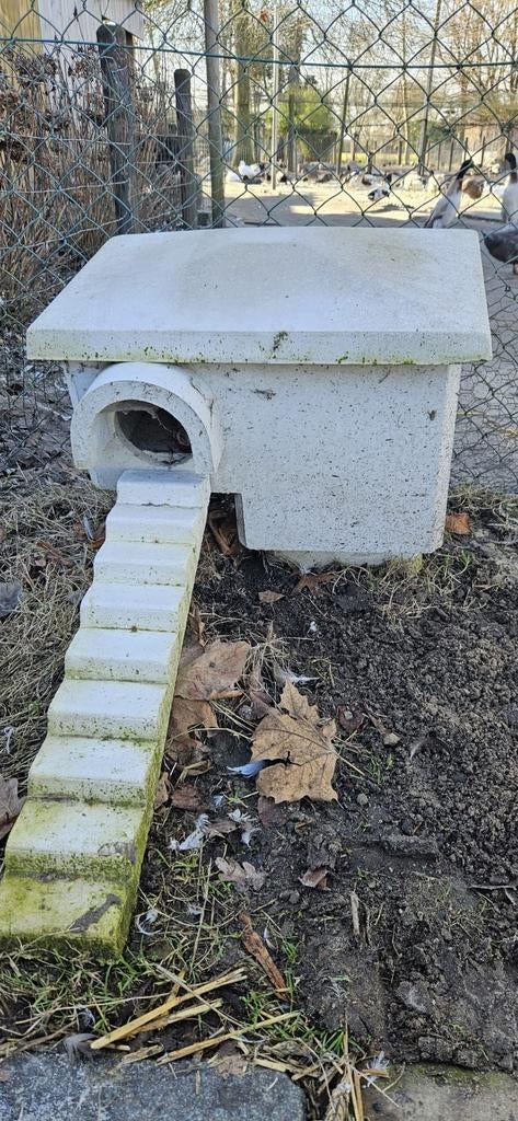 Nestkast voor eenden, Dieren en Toebehoren, Ophalen of Verzenden, Nieuw