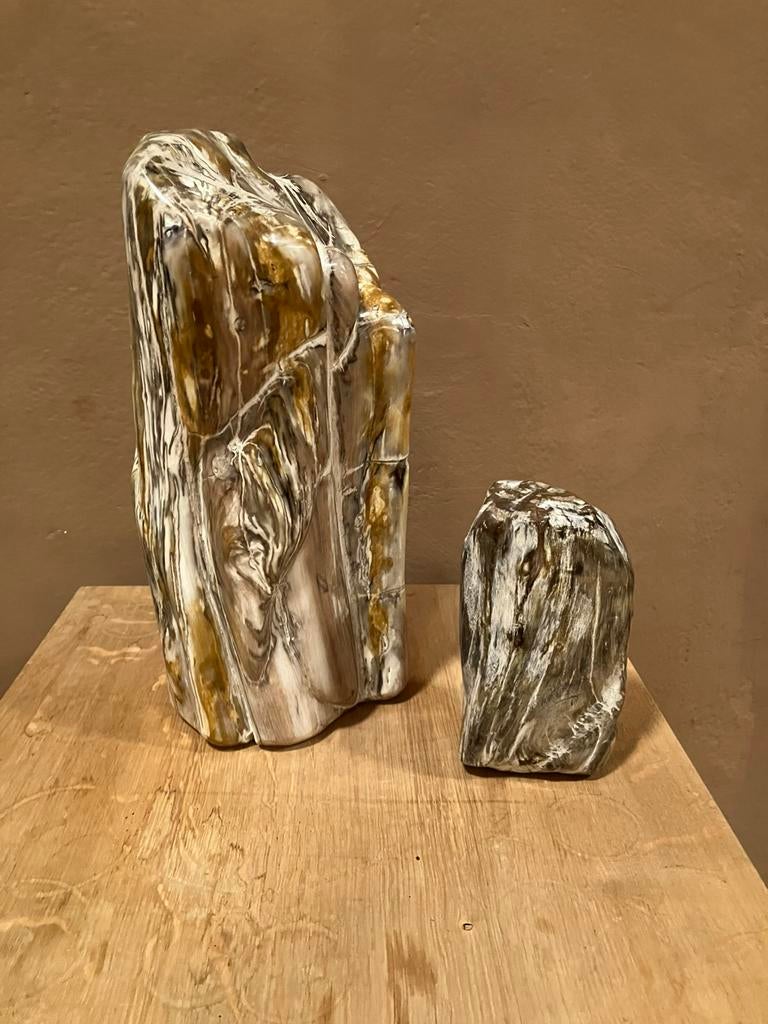Bois Pétrifiés  8 et 38 cms . Très lumineux, Enlèvement, Fossile