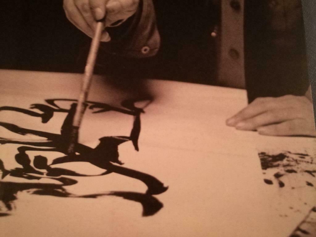 Dotremont Alechinsky Jorn Vandercam Cobra 200pag 230ill, Ophalen of Verzenden, Nieuw, Schilder- en Tekenkunst