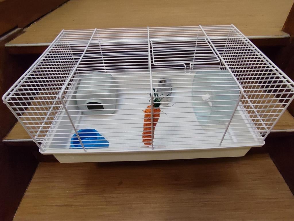 Cage 45x28cm, Animaux & Accessoires, Enlèvement ou Envoi, Cage, Comme neuf, Moins de 75 cm