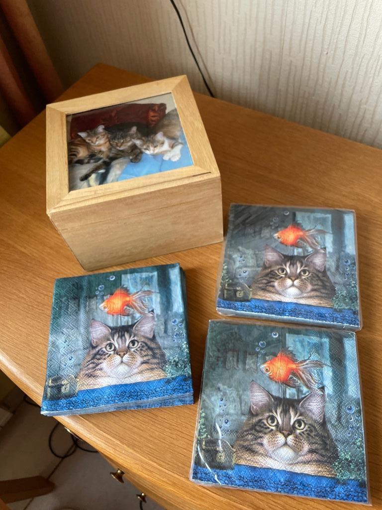 Versierde doos + servetten van katten, Verzamelen, Ophalen of Verzenden, Zo goed als nieuw, Hond of Kat, Overige typen