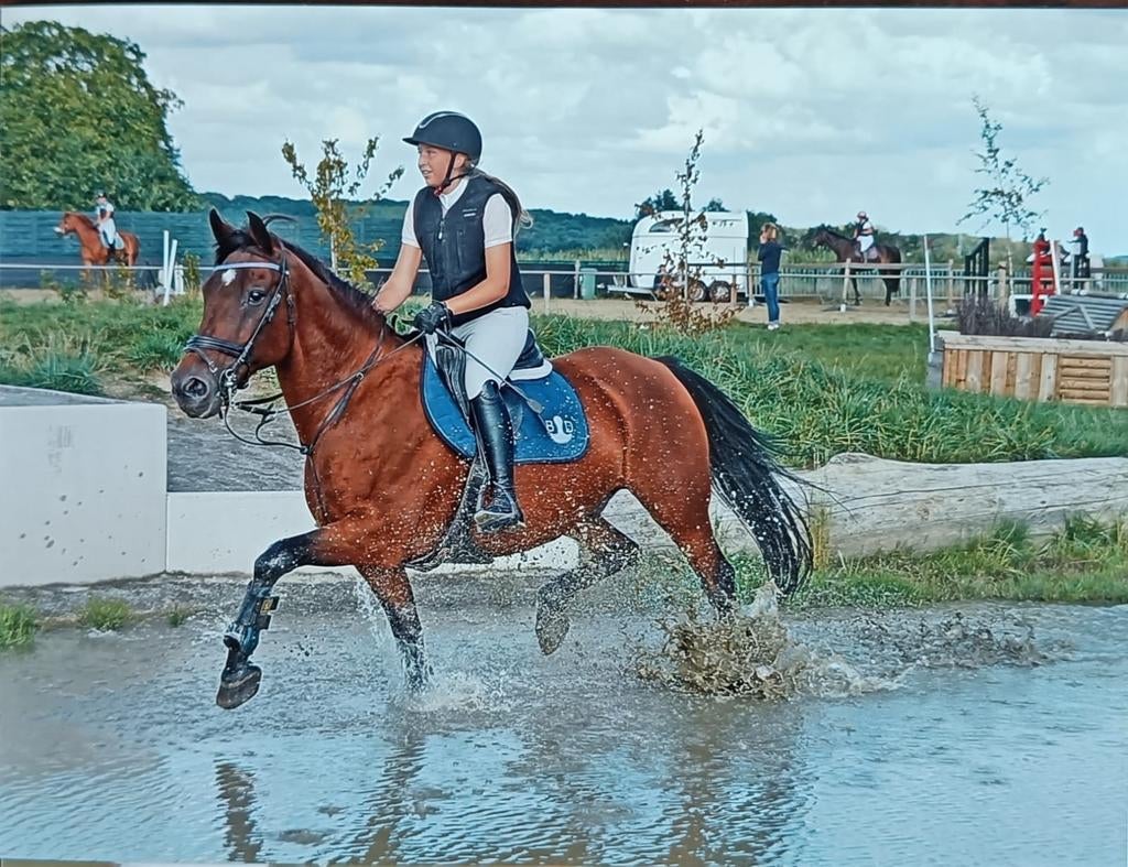 Paardrijles